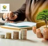 Carbon Markets – What Businesses Need to Know