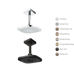 Bát sen gắn trần TOTO TBW02003B1A