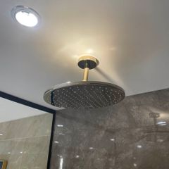 Bát sen gắn trần TOTO TBW07003A1