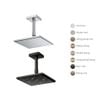 Bát sen gắn trần TOTO TBW08001A1