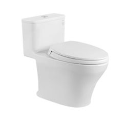 Bồn cầu 1 khối TOTO MS857DT2 (Nắp TC393VS)