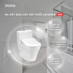 Bồn cầu nắp rửa cơ TOTO CW166RB/TCW09S