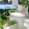Bồn cầu NEOREST DH TOTO CS988VT/TCF9575Z/T53P100VR