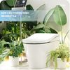 Bồn cầu NEOREST LS TOTO CS911VT/TCF87320GAA/T53P100VR