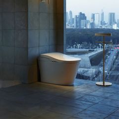 Bồn cầu NEOREST LS TOTO CS911VT/TCF87320GAA/T53P100VR