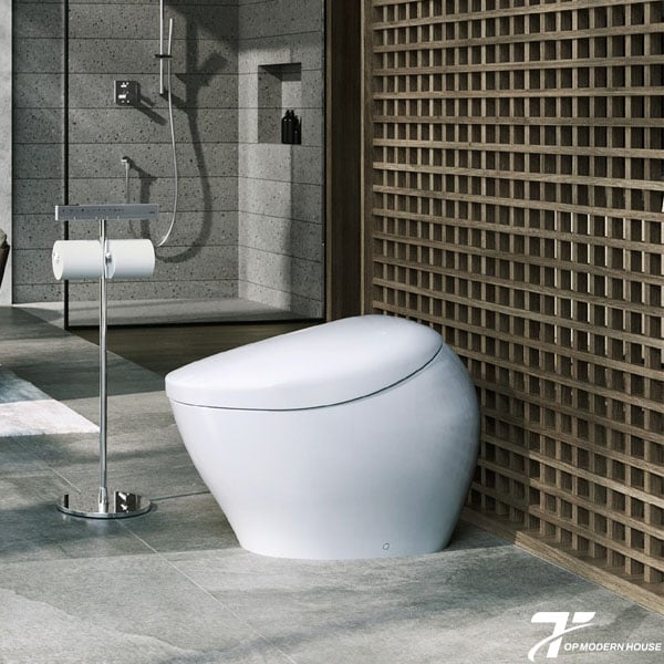 Bồn cầu NEOREST TOTO CS900VT/T53P100VR