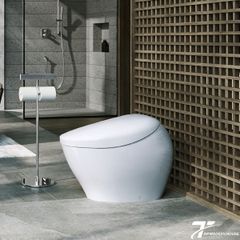 Bồn cầu NEOREST TOTO CS900VT/T53P100VR