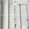 Thân sen cây TOTO TBW01001BA