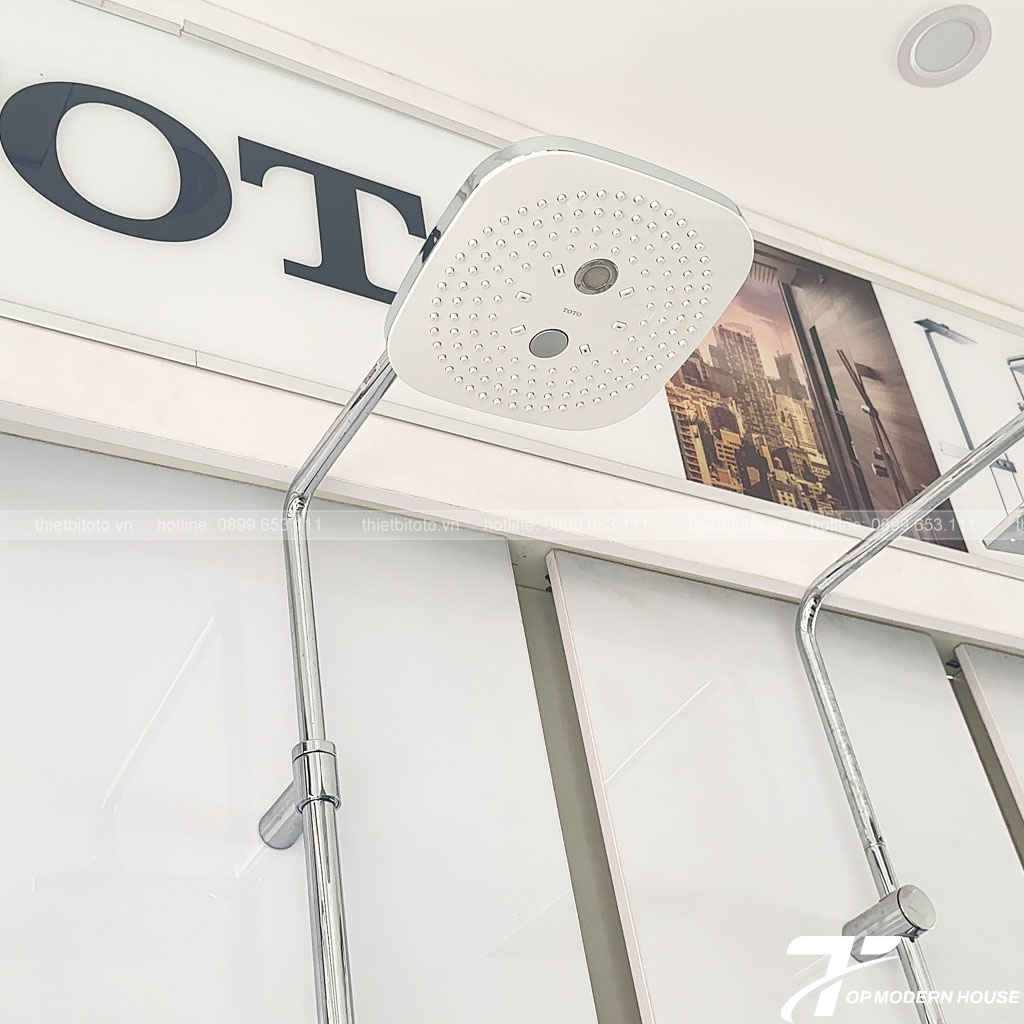 Thân sen cây TOTO TBW02002BA