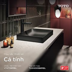 Chậu rửa mặt đặt bàn TOTO LT4715G17#MBL màu đen mờ