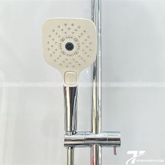 Sen cây nhiệt độ TOTO TBW01001BA/TBV03429V/TBW02006A