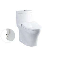 Bồn cầu nắp rửa cơ TOTO MS889DRE2