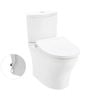 Bồn cầu nắp rửa cơ TOTO CS838DE2