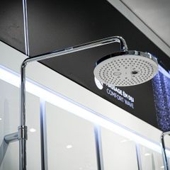 Sen cây TOTO TBW01002BA