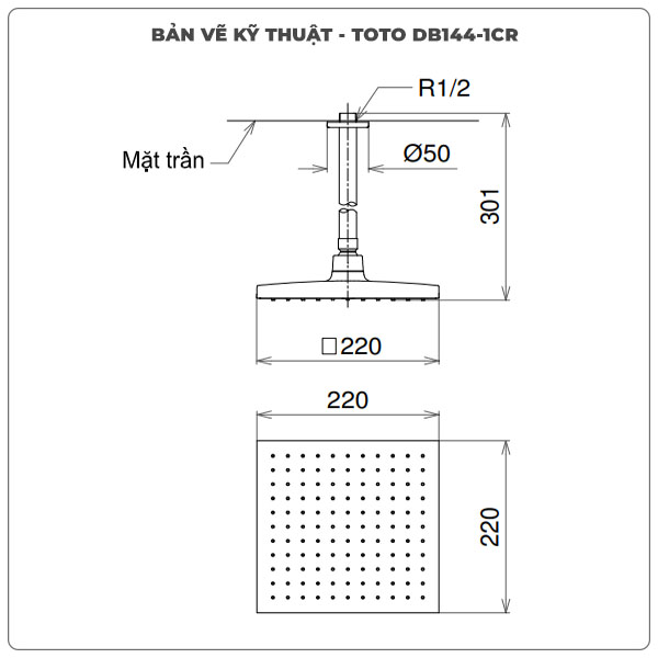 Bát sen gắn trần TOTO DB144-1CR vuông 220mm