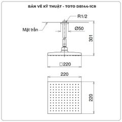 Bát sen gắn trần TOTO DB144-1CR vuông 220mm