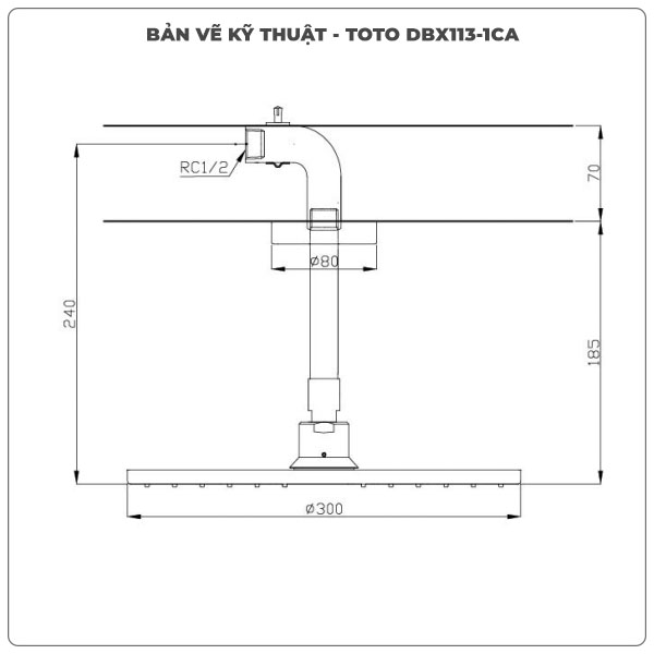 Bát sen gắn trần TOTO DBX113-1CA