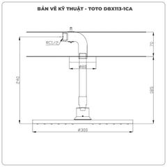 Bát sen gắn trần TOTO DBX113-1CA