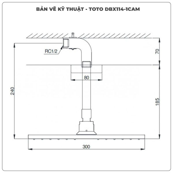 Bát sen gắn trần TOTO DBX114-1CAM