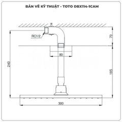 Bát sen gắn trần TOTO DBX114-1CAM
