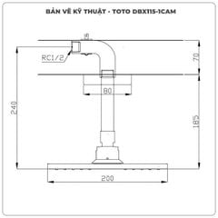Bát sen gắn trần TOTO DBX115-1CAM