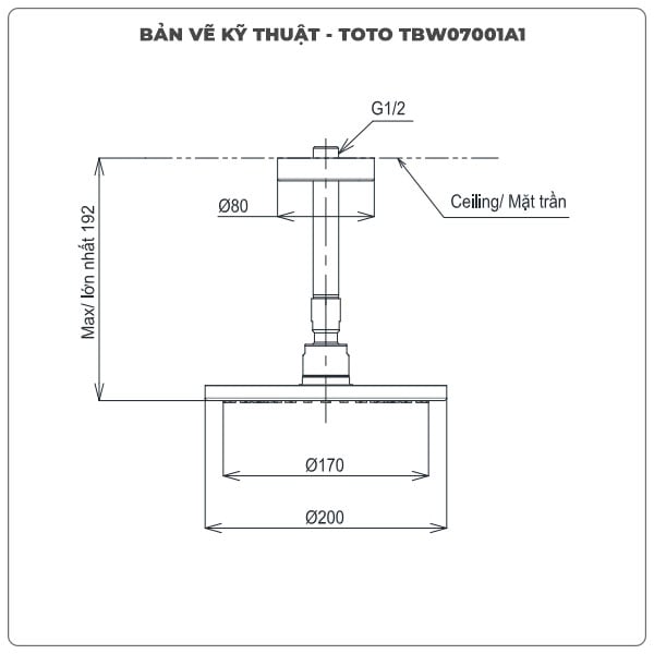 Bát sen gắn trần TOTO TBW07001A1