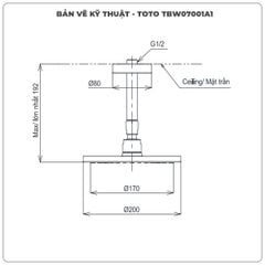 Bát sen gắn trần TOTO TBW07001A1