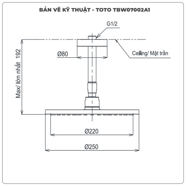 Bát sen gắn trần TOTO TBW07002A1