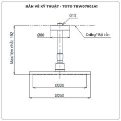 Bát sen gắn trần TOTO TBW07002A1