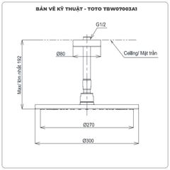 Bát sen gắn trần TOTO TBW07003A1