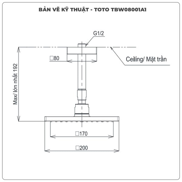 Bát sen gắn trần TOTO TBW08001A1