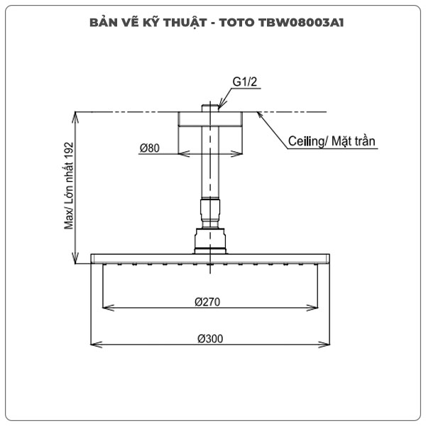 Bát sen gắn trần TOTO TBW08003A1