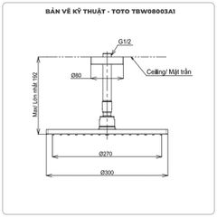 Bát sen gắn trần TOTO TBW08003A1