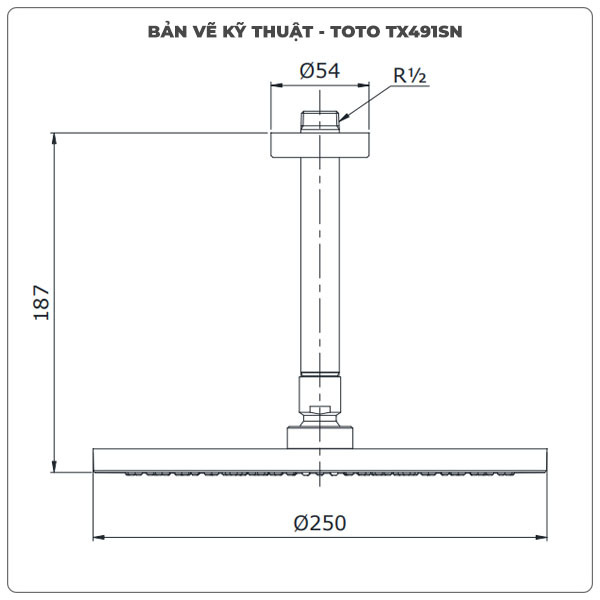 Bát sen gắn trần TOTO TX491SN