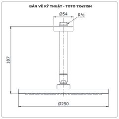 Bát sen gắn trần TOTO TX491SN