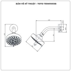 Bát sen gắn tường TOTO TBW01013B