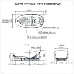 Bồn tắm đặt sàn massage TOTO PJYD2200PWE