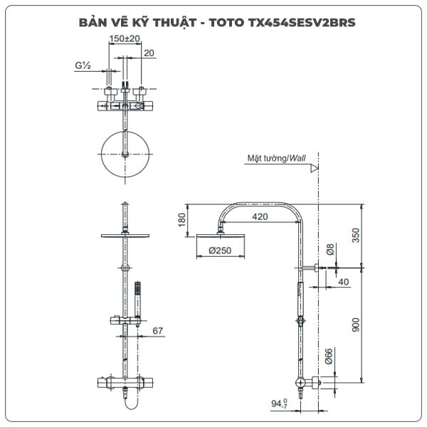 Sen cây nhiệt độ TOTO TX454SESV2BRS