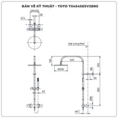 Sen cây nhiệt độ TOTO TX454SESV2BRS