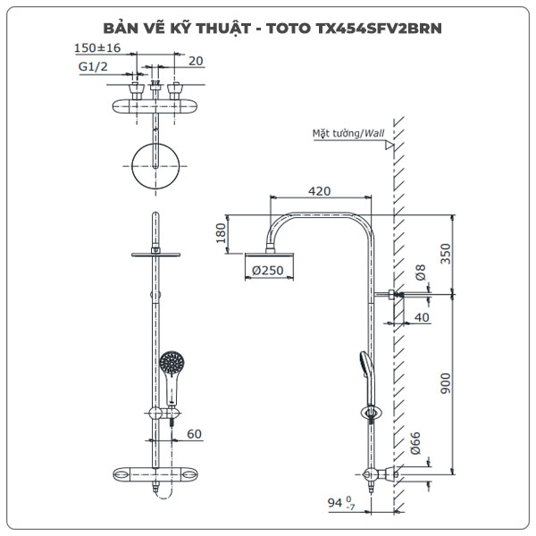 Sen cây nhiệt độ TOTO TX454SFV2BRN