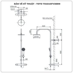 Sen cây nhiệt độ TOTO TX454SFV2BRN