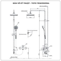 Thân sen cây TOTO TBW01001BA