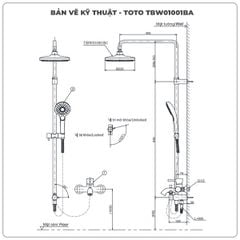 Sen cây nhiệt độ TOTO TBW01001BA/TBV03429V/TBW02006A