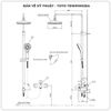 Sen cây nóng lạnh TOTO TBW01002BA/TBS01302V/TBW01010A