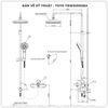 Sen cây nóng lạnh TOTO TBW02002BA/TBG04302VA/TBW01010A