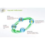  Băng gạc lành vết thương đái tháo đường mãn tính - URGOSTART 