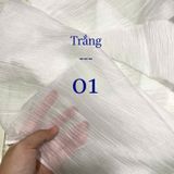  [Vải MM] (211) Vải Tơ Nhăn Nhẹ, Mềm, Mướt Lên Sơ Mi, Đầm, Váy Đẹp, Sang Trọng (Giá Bán 0.5m) 