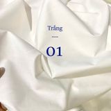  [Vải MM] (407) Vải Kate Thô Ướt Hót Trend Dày Vừa, Không Giãn Lên Sơ Mi, Váy, Đầm, Quần, Set (Giá bán 0.5m) 