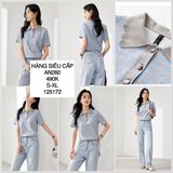  Áo thun lông cổ bẻ viền răng cưa AN260 