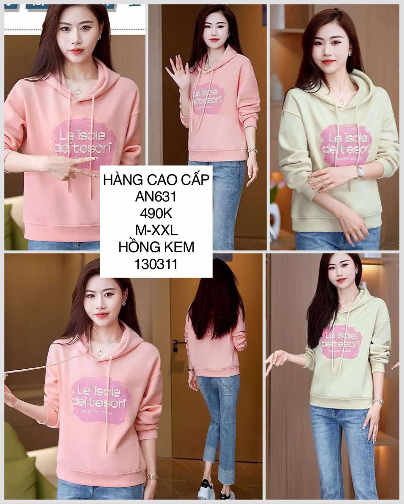  Áo hoodie thêu chữ AN631 